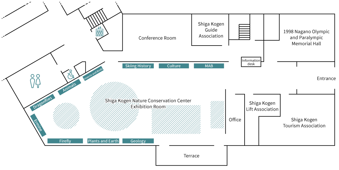 Museum Guide Map