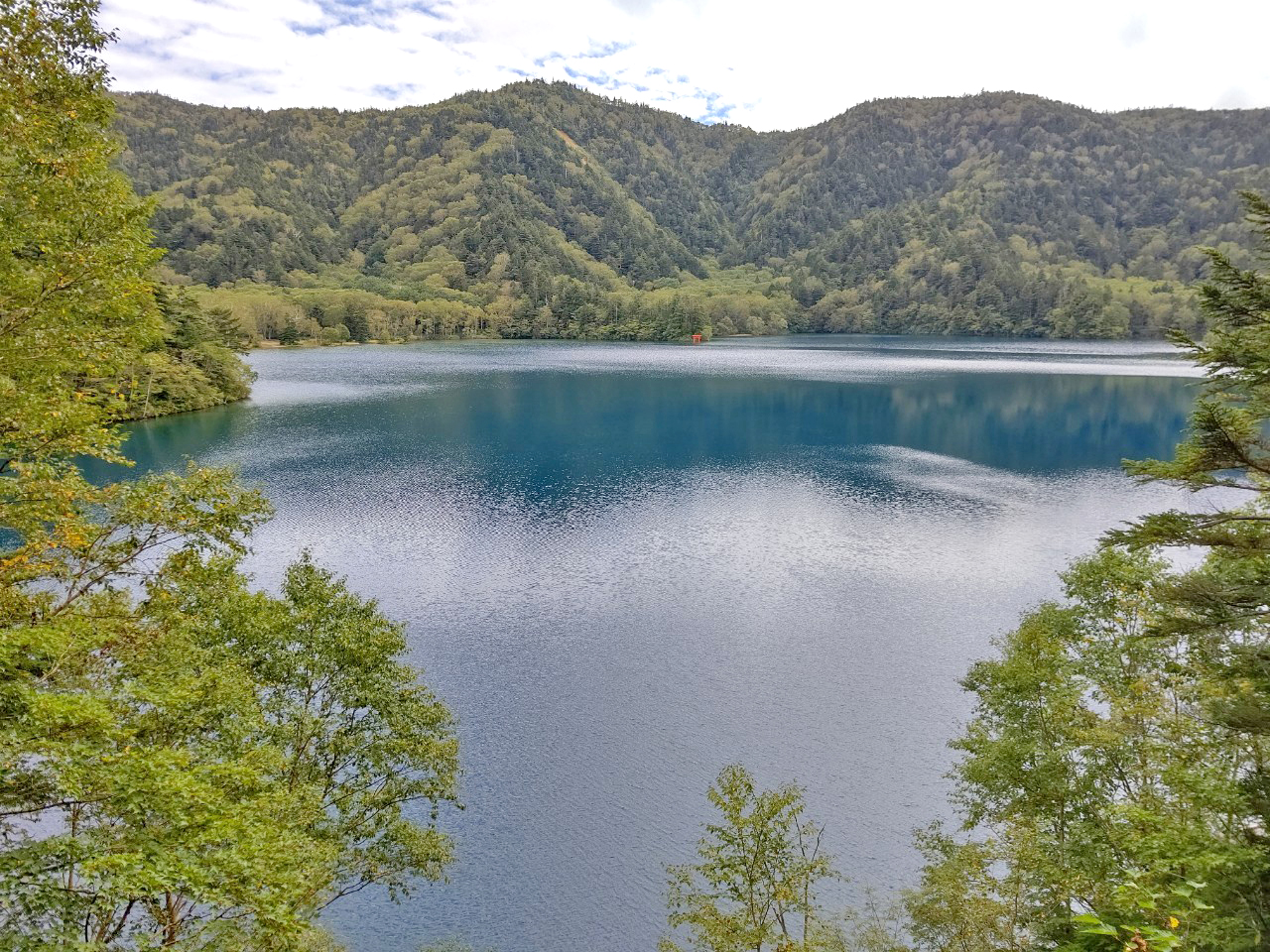 大沼池　水量調査/Onuma Pond Water Level Survey