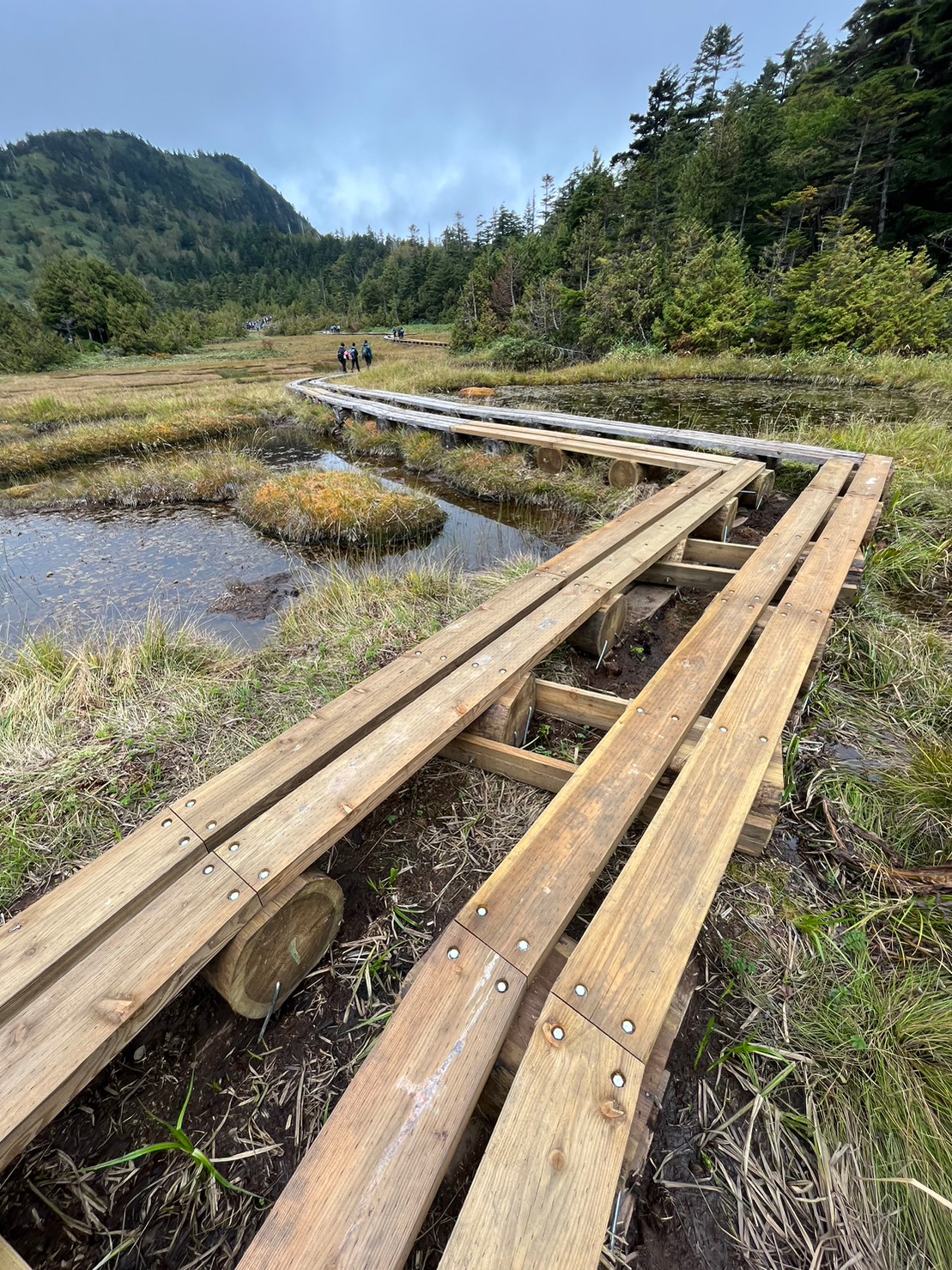 四十八池湿原木道修繕終了