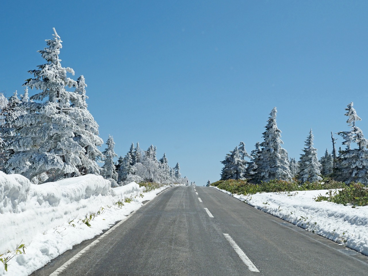 冬期道路閉鎖情報/Road Regulation Information | お知らせ | 志賀高原