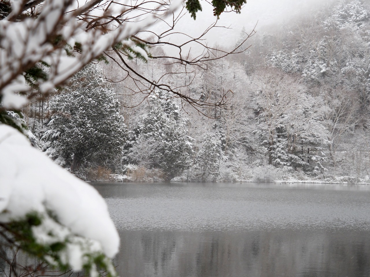 冬の始まり/The Enchanting Prelude of Winter