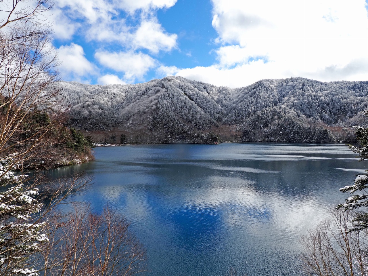 雪景色の大沼池/Ōnuma Pond’s Enchanting Winter Wonderland
