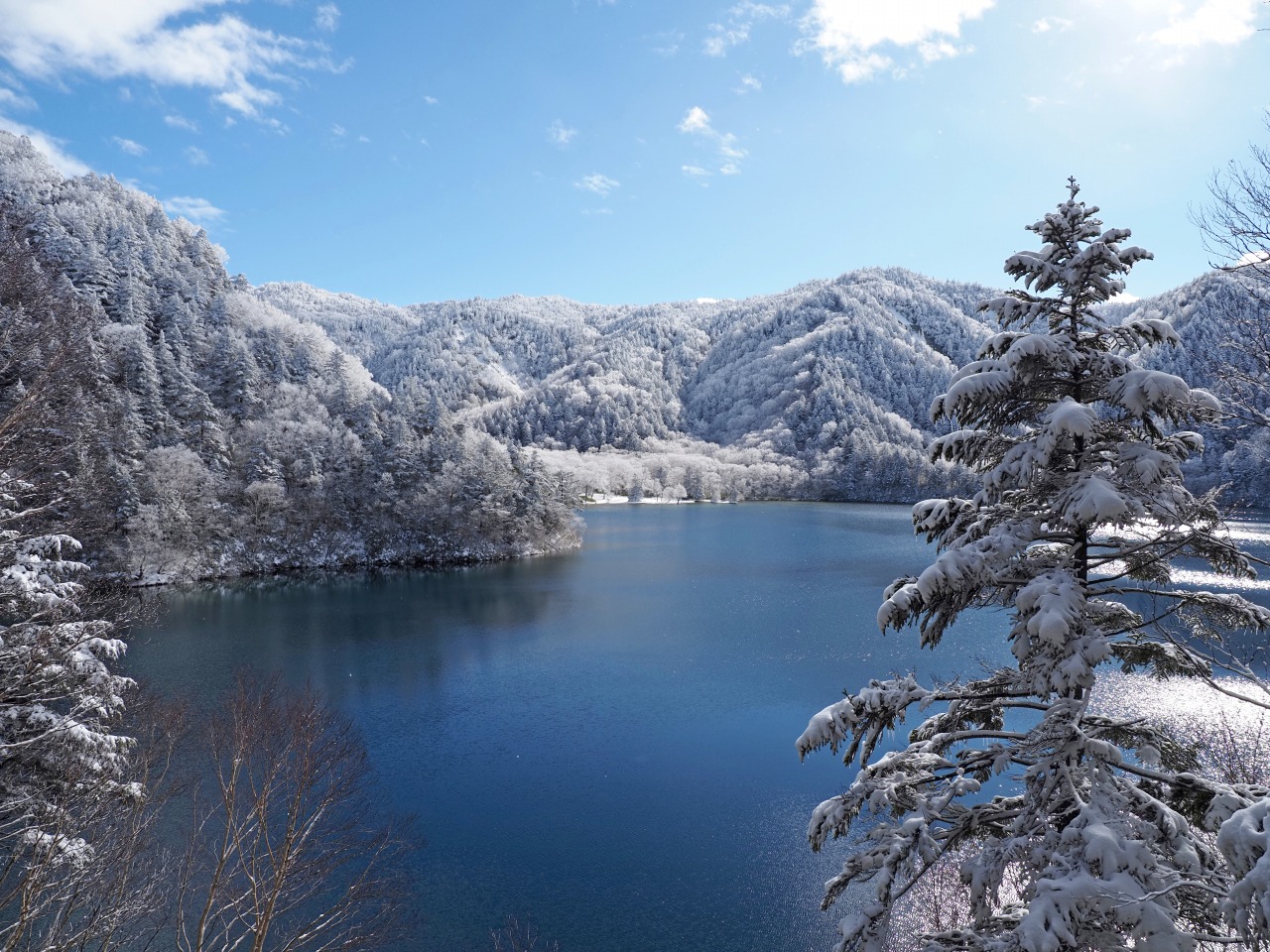 12月初旬の志賀高原/In early December on Shiga Kogen