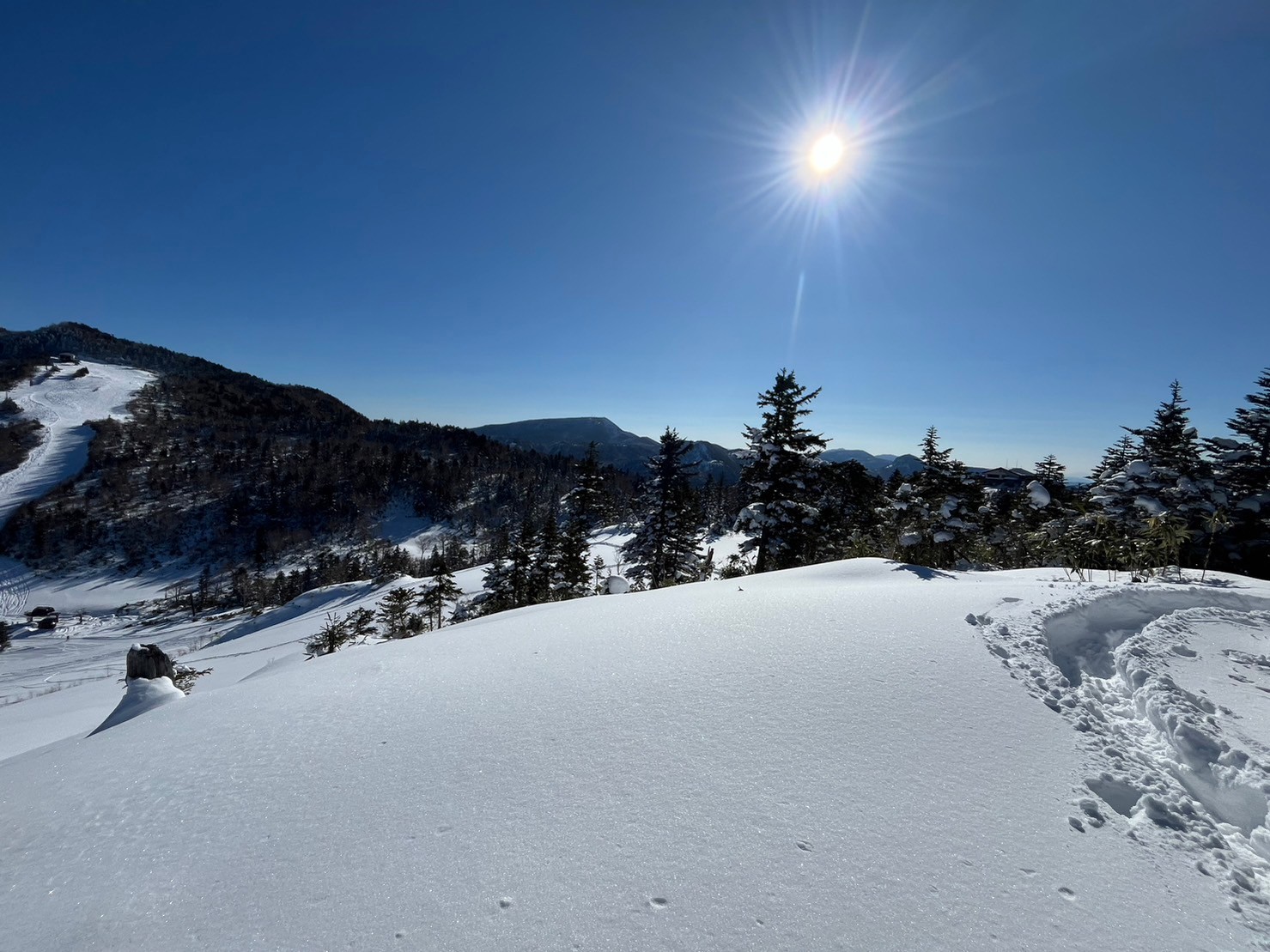 スノーシューガイドツアー07/Snowshoe Tour report07