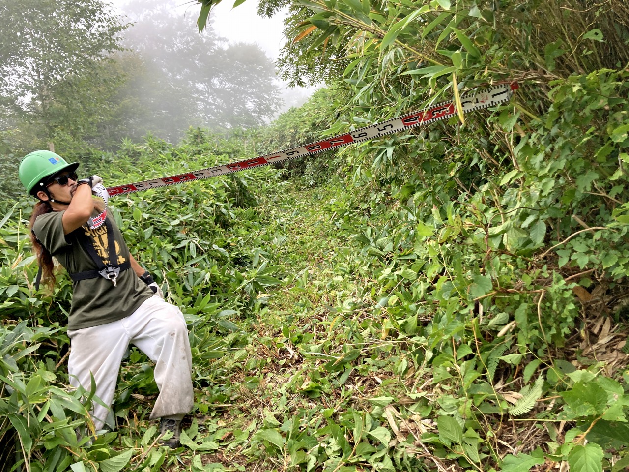 岩菅山-切明縦走路刈払い作業進捗状況Vol.1/Brush-Clearing Progress Report for Mt.Iwasuge to Kiriake-onsen Trail