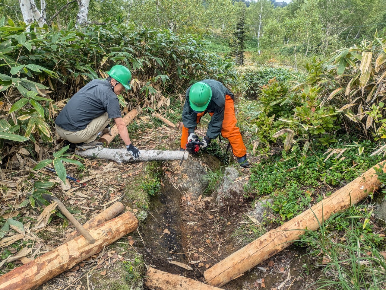 登山道整備を行っております。