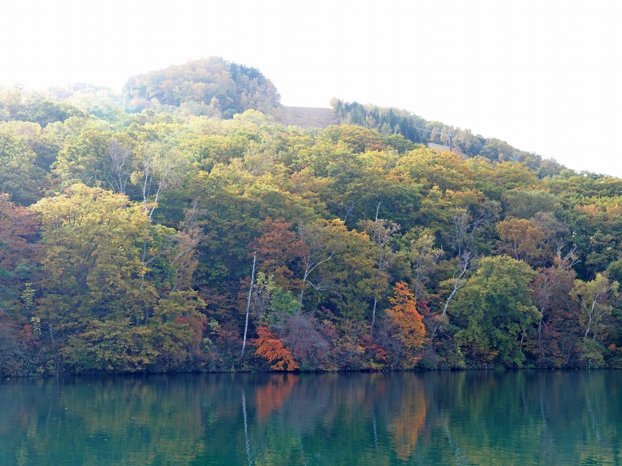 10月17日紅葉情報/October 17 Fall Foliage Update