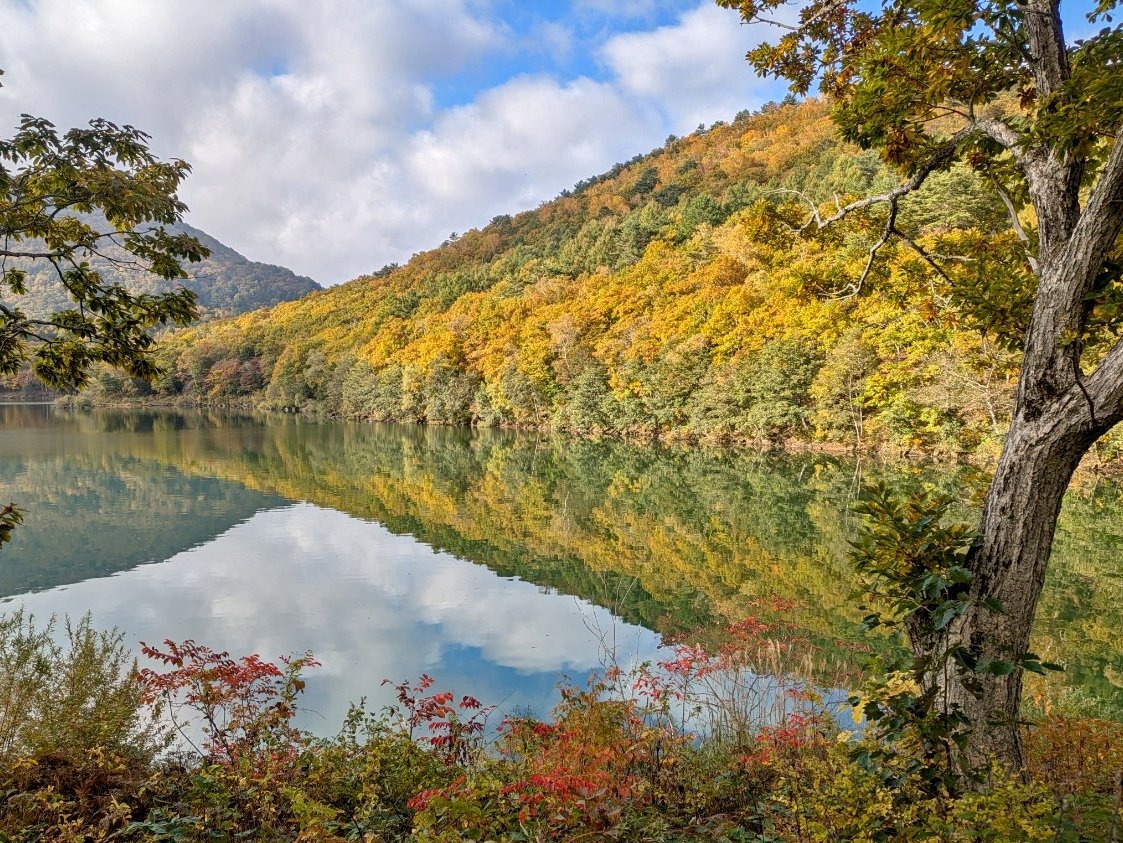 10月17日紅葉情報/October 17 Fall Foliage Update②