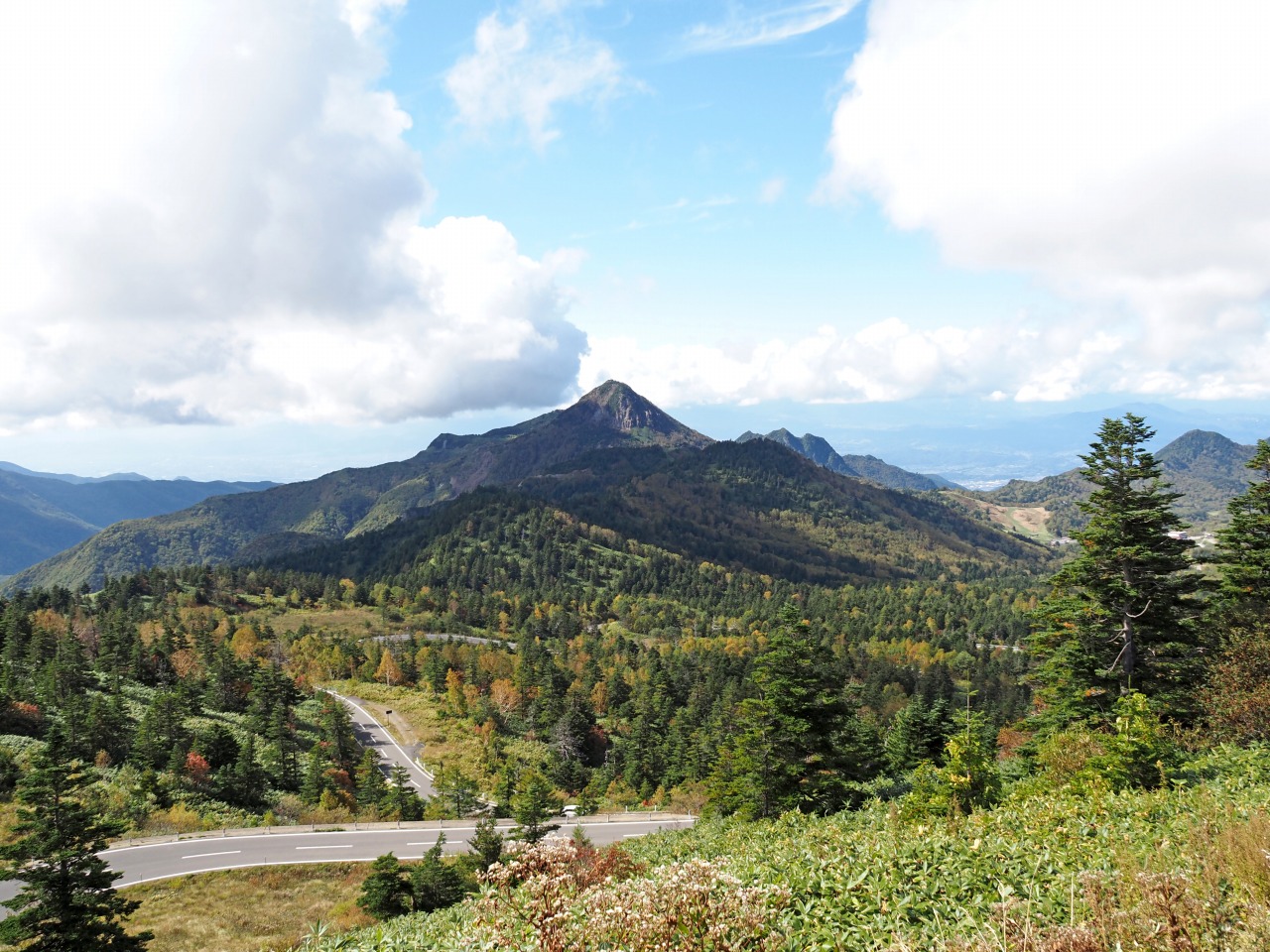 10月11日紅葉情報/October 11 Fall Foliage Update