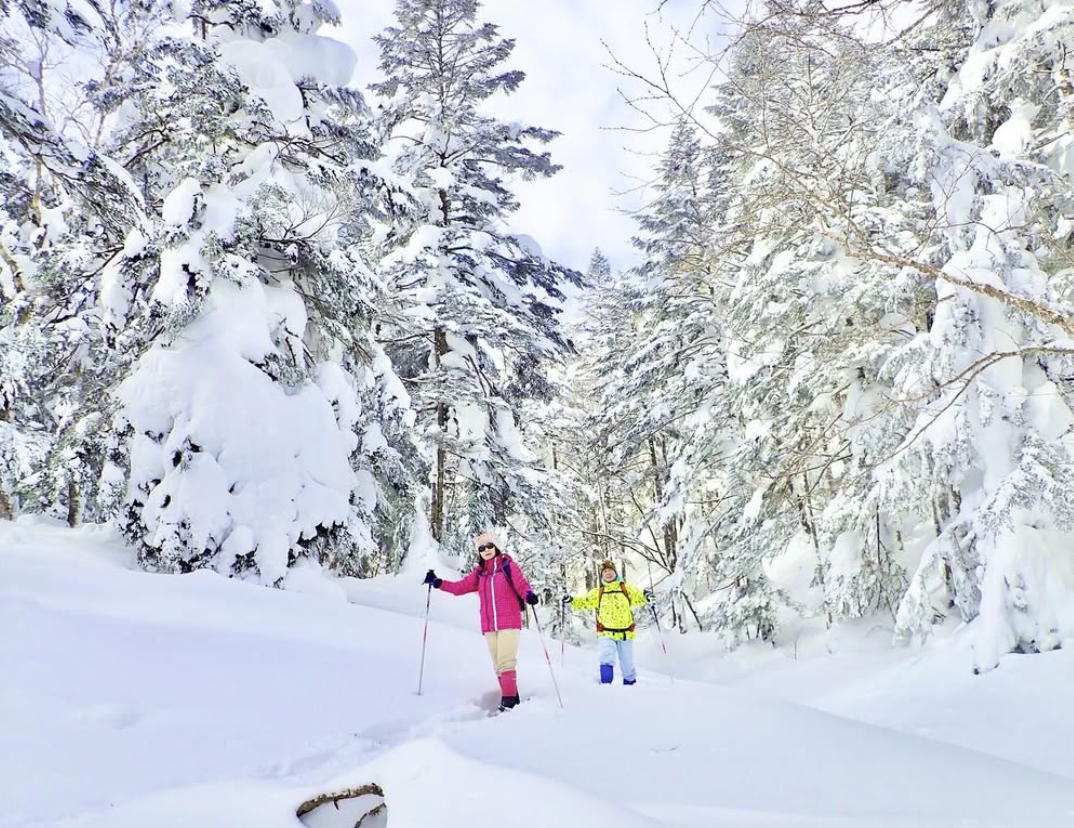 スノーシューツアー/Snowshoe Tour, 14 February 2025